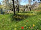 Img.2022.04.18