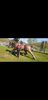 Screenshot_20220420-122318_Motion photo viewer