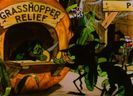 Color Rhapsodies