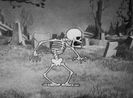 Silly Symphony