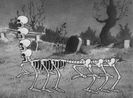 Silly Symphony