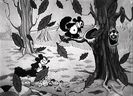 Silly Symphony
