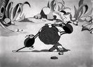Silly Symphony