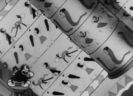 Silly Symphony