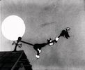 Silly Symphony