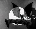 Silly Symphony