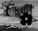 Silly Symphony
