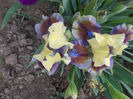 043