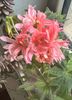 F19C2B07-6411-412A-885B-C87E0510F108