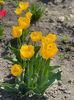 IMG-20220427-WA0016