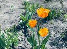 IMG-20220427-WA0024