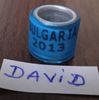 2013-BULGARIA