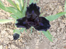 dark matter