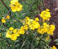 copie 20220419_103250-1