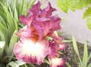 P1370838