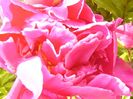 P1380706