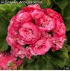 9F5C7377-8D46-4E54-B239-97CF5AF7ABC9