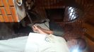 IMG-20220409-WA0052