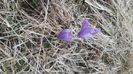 IMG-20220409-WA0034
