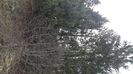 IMG-20220409-WA0013