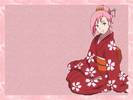 kimonoul sakurei