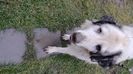 IMG-20211203-WA0007