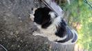 IMG-20210627-WA0010