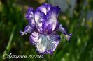 AddText_05-16-02.08.04