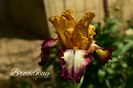 AddText_05-17-02.18.49