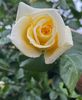 A89C8924-763F-45BE-A87B-B82FEBDB927B