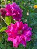 E175EBD1-EC07-4CB4-B3A4-2071FA63612C