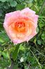 289D62B5-8BE8-4252-81D4-0CD315F22FD2