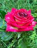 47F37790-6DD2-4376-85B0-DE624F4FED78