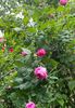 C6549039-1C9C-4CD6-B835-053BF2902DAC