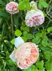 41B2012E-FFFD-4678-8E1E-5F1A41DDAD7C