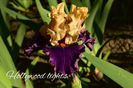 AddText_05-21-11.23.30
