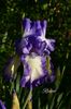 AddText_05-19-03.26.06