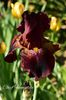 AddText_05-19-03.24.26