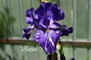AddText_05-19-03.25.14