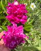 E1FB3868-6766-4C3B-A12A-35BF9DD49C60
