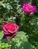 897DC6DA-9FE6-4C75-803C-B971B63FD25A