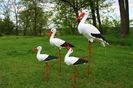 IMG-20220515-WA0013
