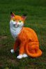 IMG-20220515-WA0015