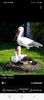 IMG-20220515-WA0040