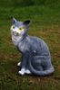 IMG-20220515-WA0029