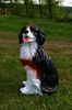 IMG-20220515-WA0023