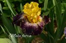 AddText_05-29-12.17.16