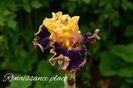 AddText_05-29-11.58.21