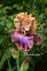 AddText_05-29-11.57.09