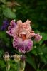 AddText_05-29-11.55.48